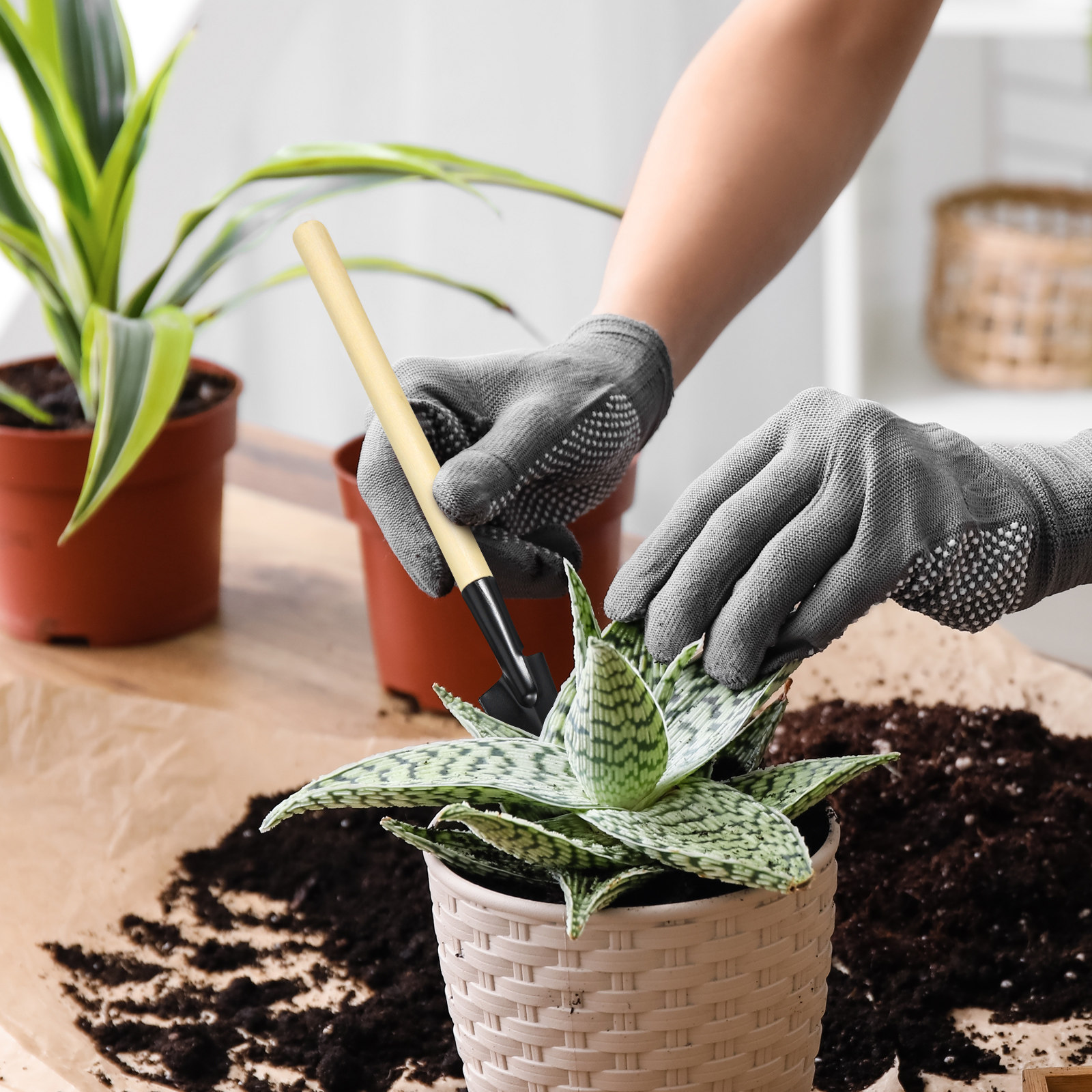 Bonsai Garden Rake - 2 Set di Mini Attrezzi da
