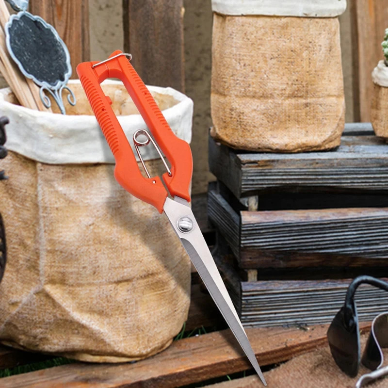 Bonsai Garden Rake - Forbici da Potatura Multiuso – Attrezzo