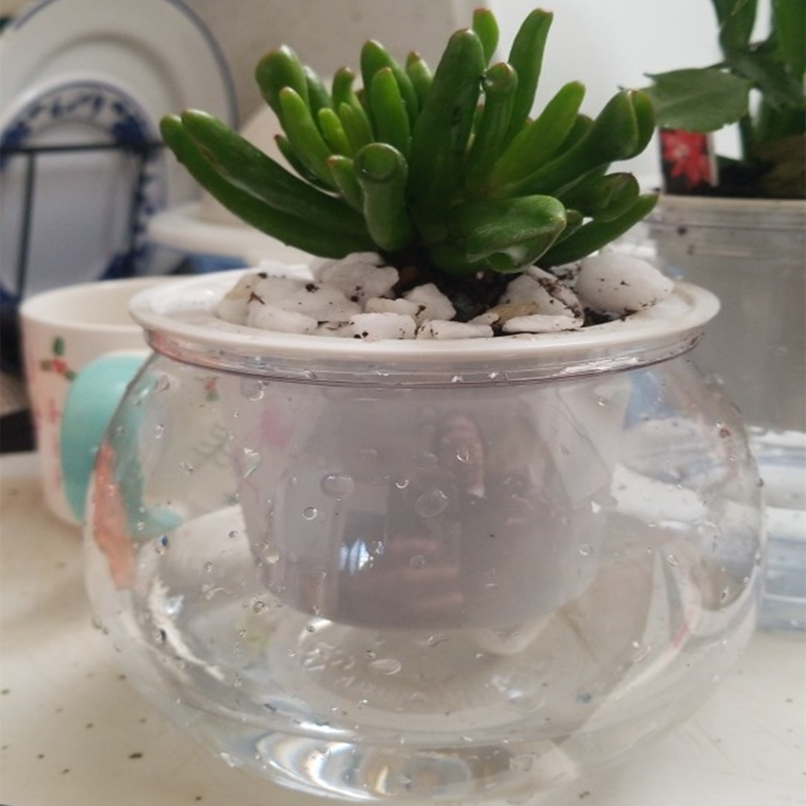 Japanese Garden Bonsai - Vasi per fioriera autoirriganti Mini vaso