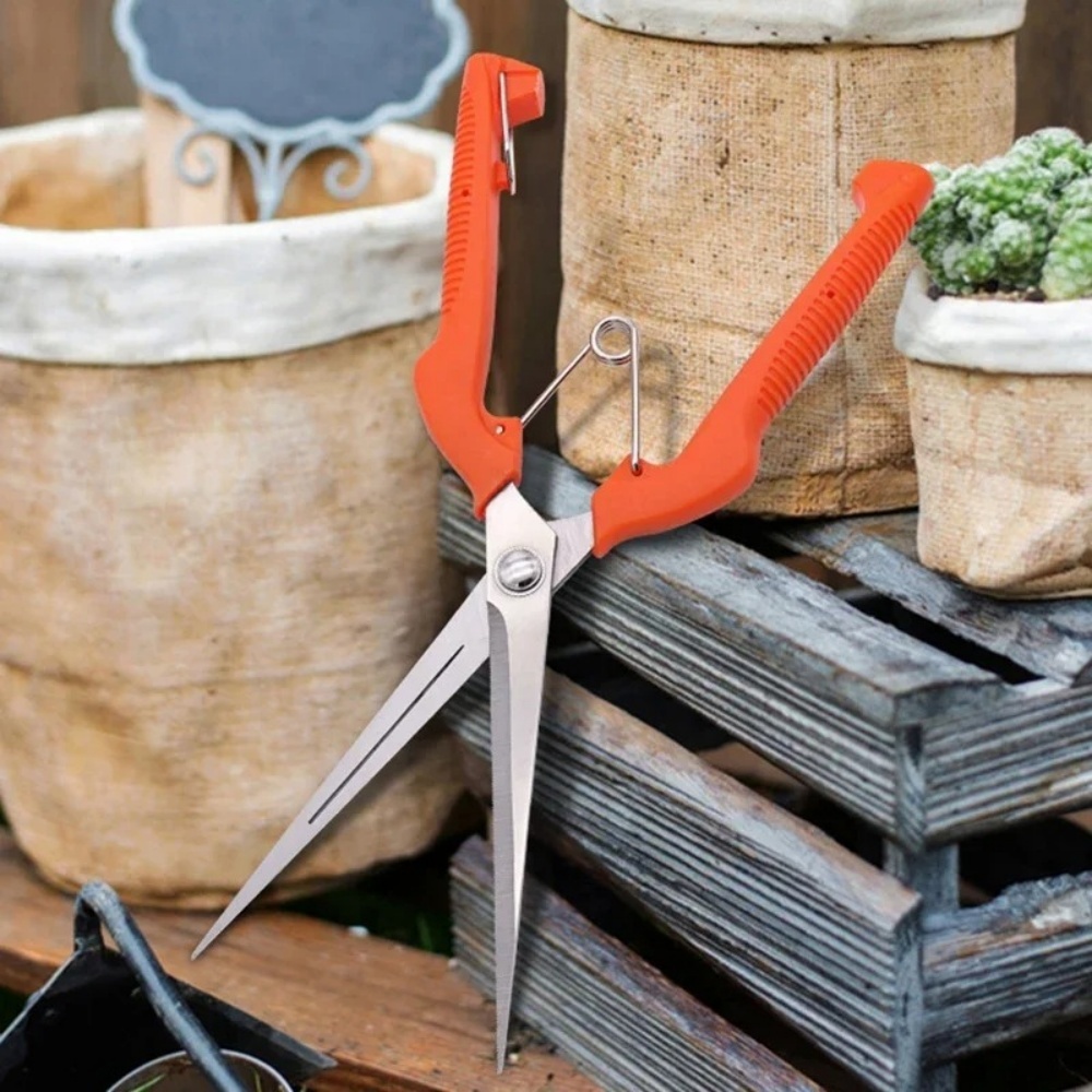 Bonsai Garden Rake - Cesoie da potatura professionali da giardino