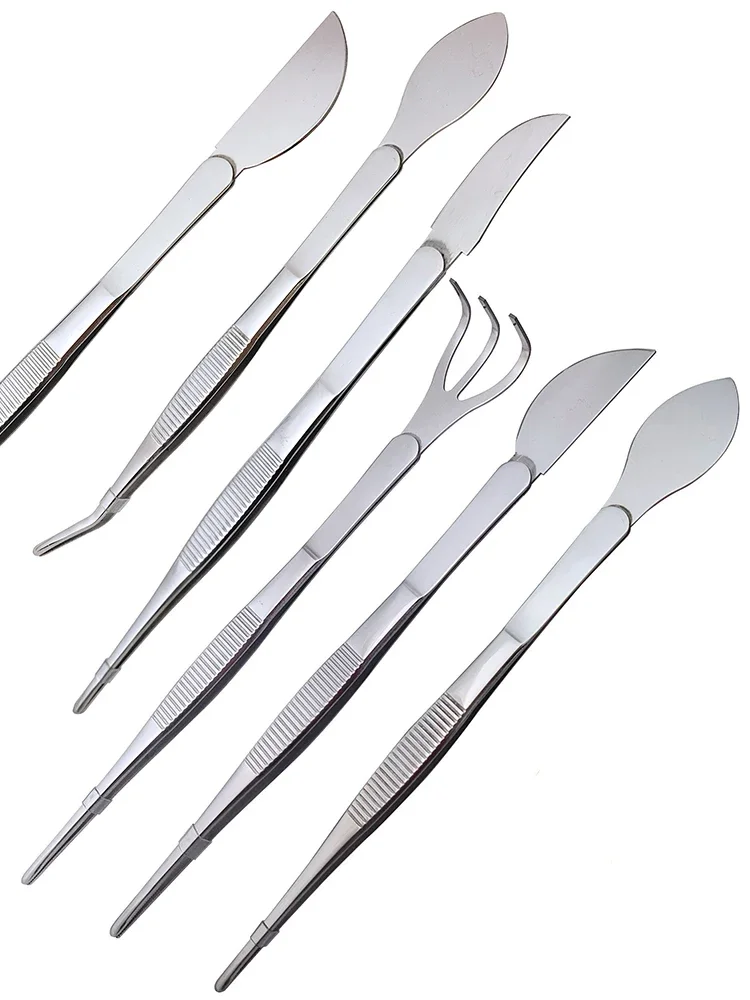 Bonsai Garden Rake - 1pc 2 in 1 rastrello per