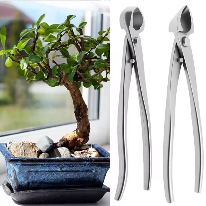 Bonsai Garden Rake - 2 pz 210mm In Acciaio Inox