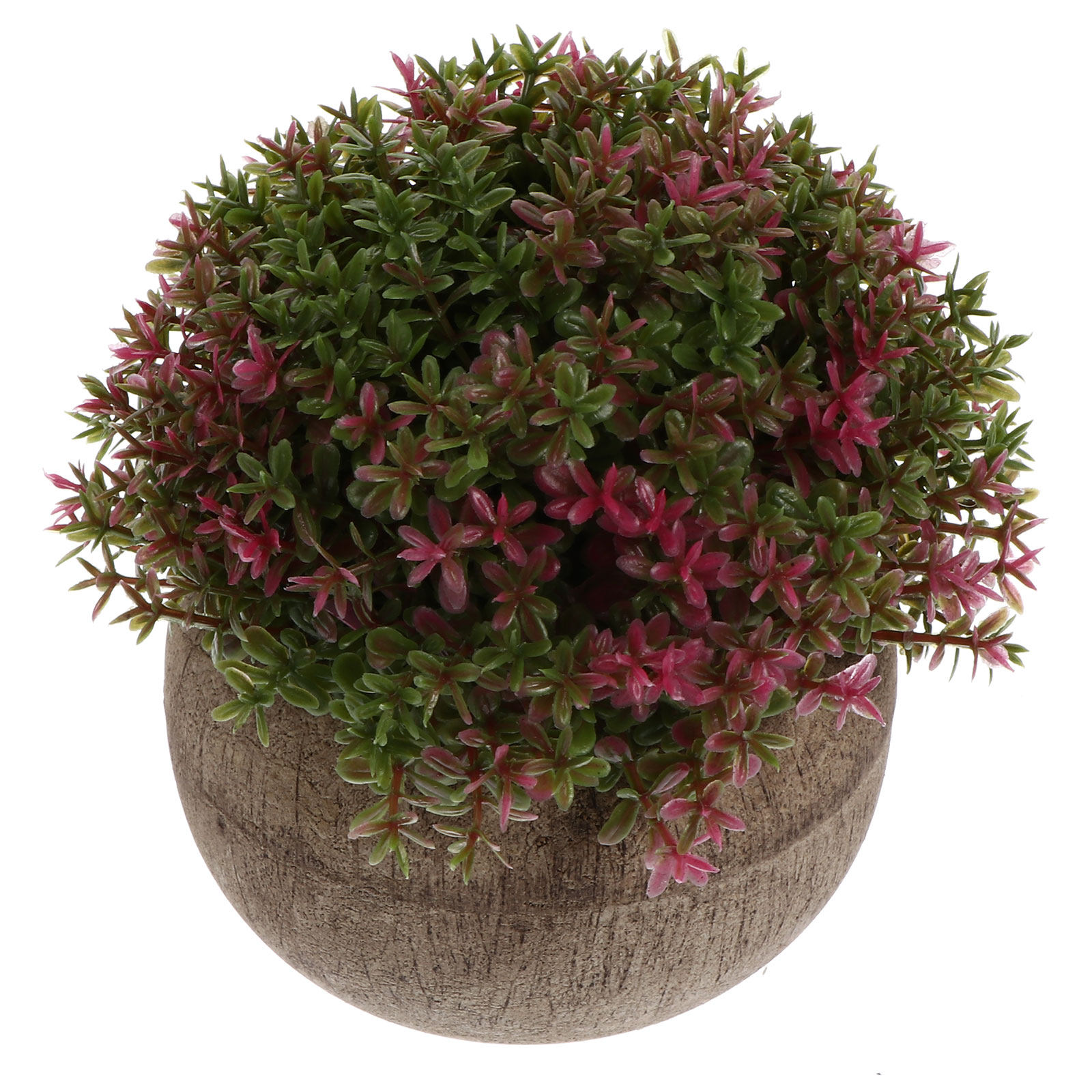 Bonsai Garden Cafe - Mini Bonsai in Plastica Realistico, Pianta