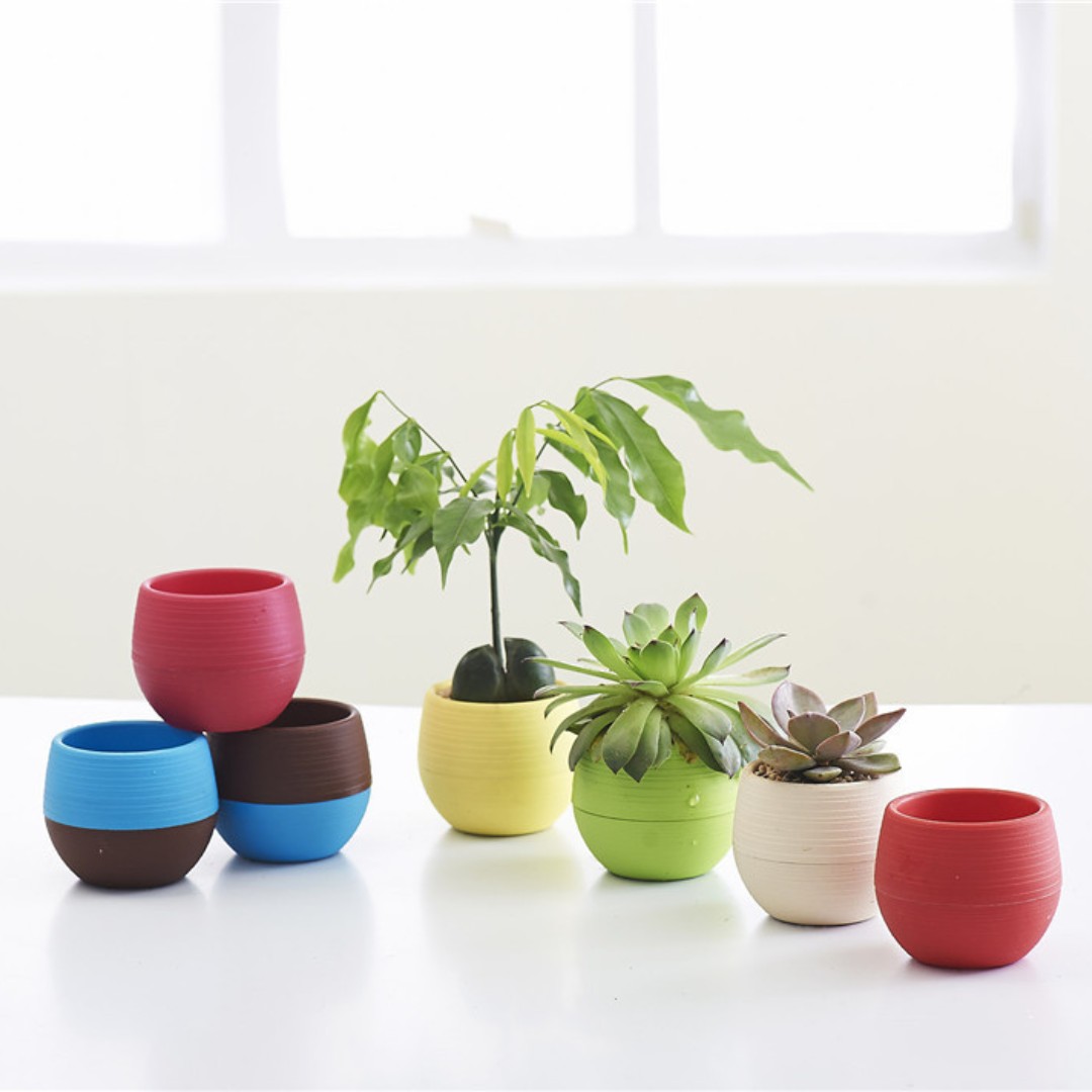 Bonsai Garden Europe - Mini vasi da fiori in plastica