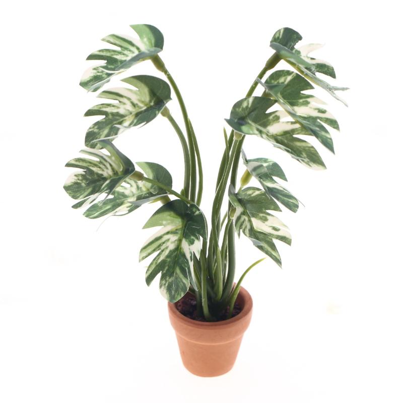 Bonsai Garden Pot - Nuovo. 1 Pezzo Pianta Verde Monstera