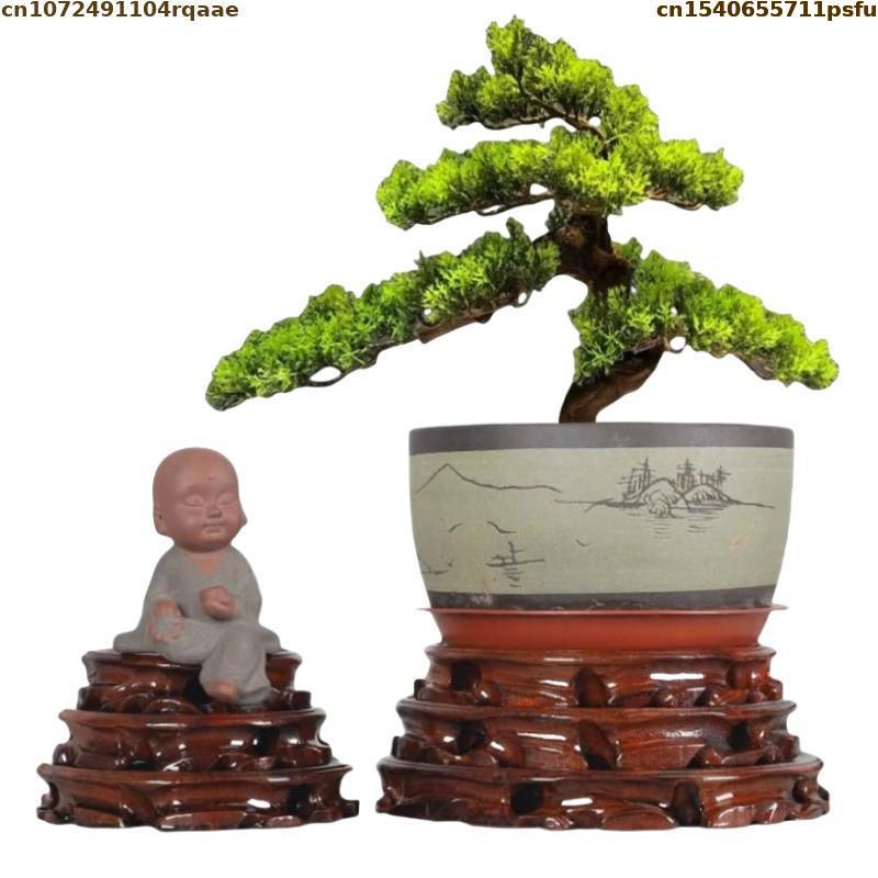 Bonsai Garden Display - 6-30 cm di Diametro in Piedi