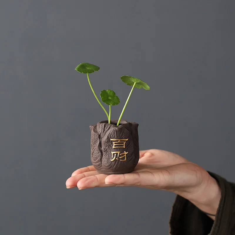 Creativo viola argilla tè pet  - Bonsai Garden Pot recensione e prezzo