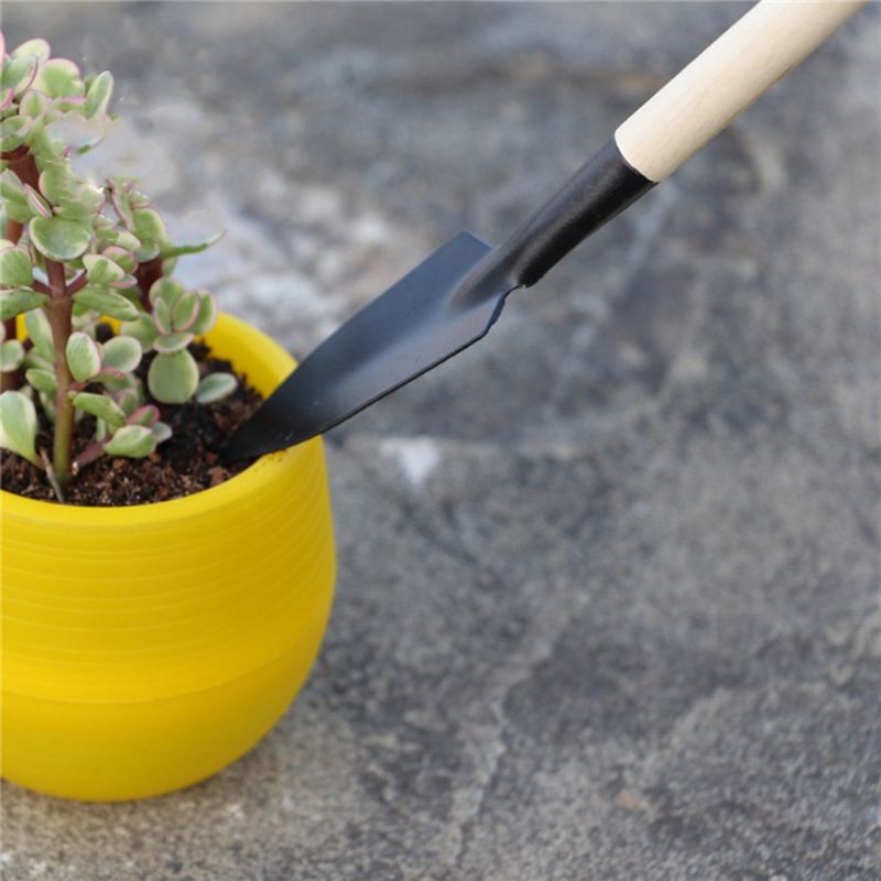 3 pezzi mini pala da giardino  - Bonsai Garden Rake recensione e prezzo