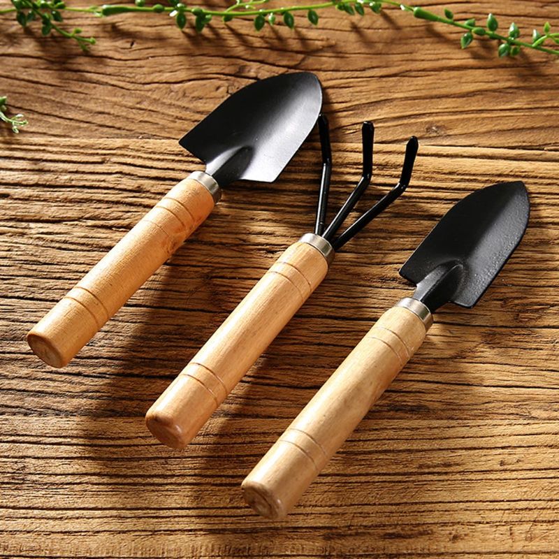 3 pezzi mini pala da giardino  - Bonsai Garden Rake recensione e prezzo