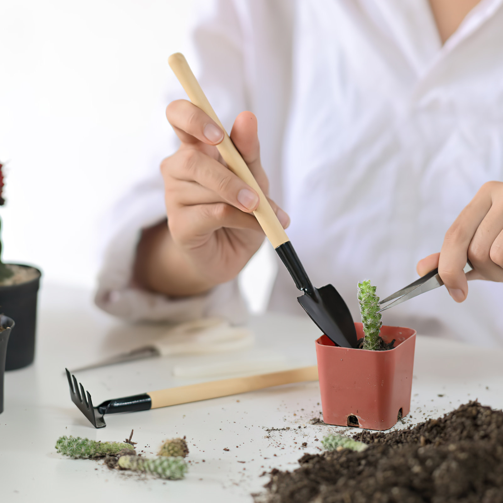 2 Set di Mini Attrezzi da Giar - Bonsai Garden Rake recensione e prezzo