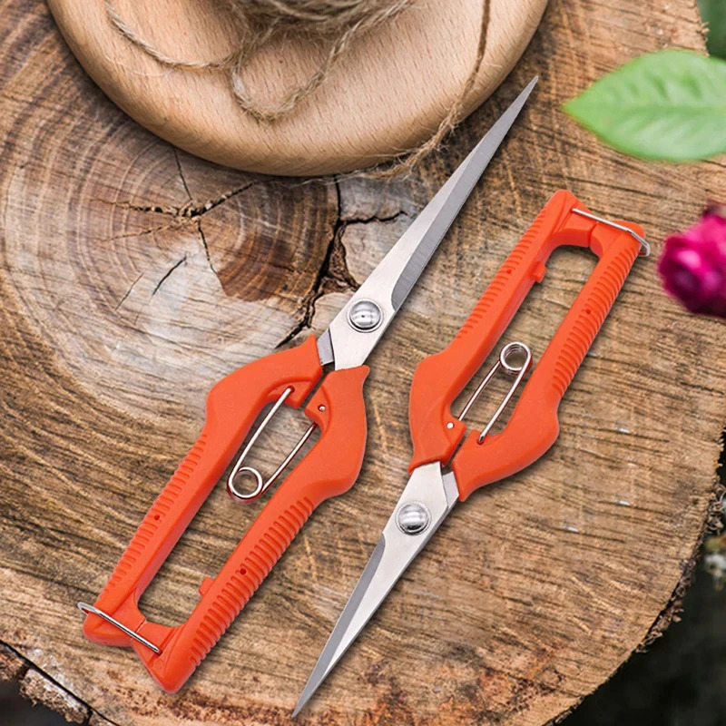 Forbici da Potatura Multiuso – - Bonsai Garden Rake recensione e prezzo