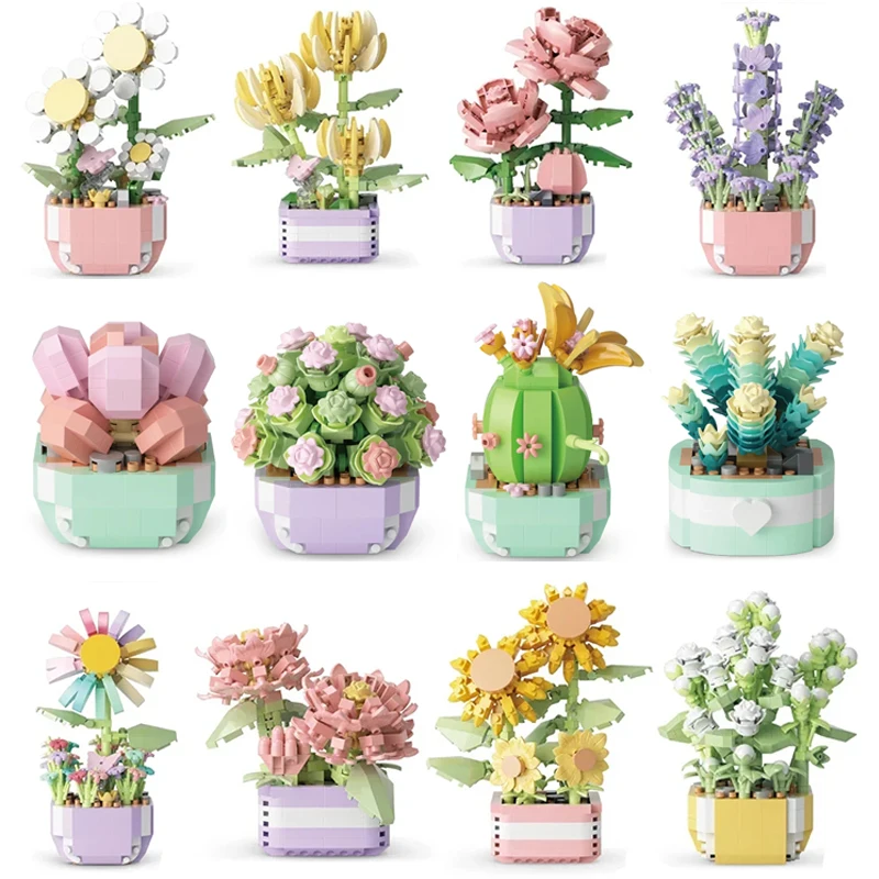 Fiore Piante grasse Building B - Bonsai Garden Pot recensione e prezzo