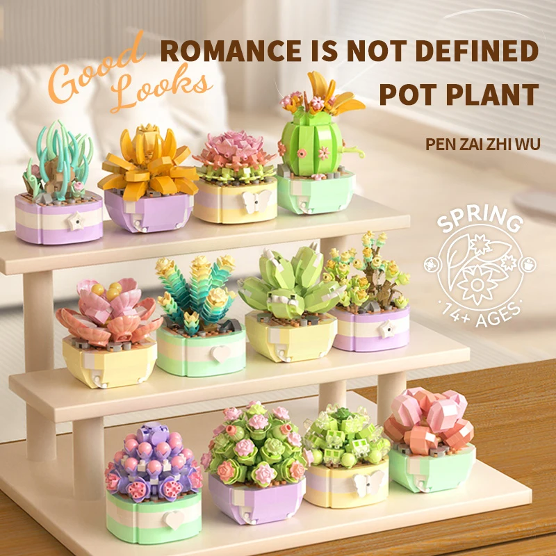 Fiore Piante grasse Building B - Bonsai Garden Pot recensione e prezzo