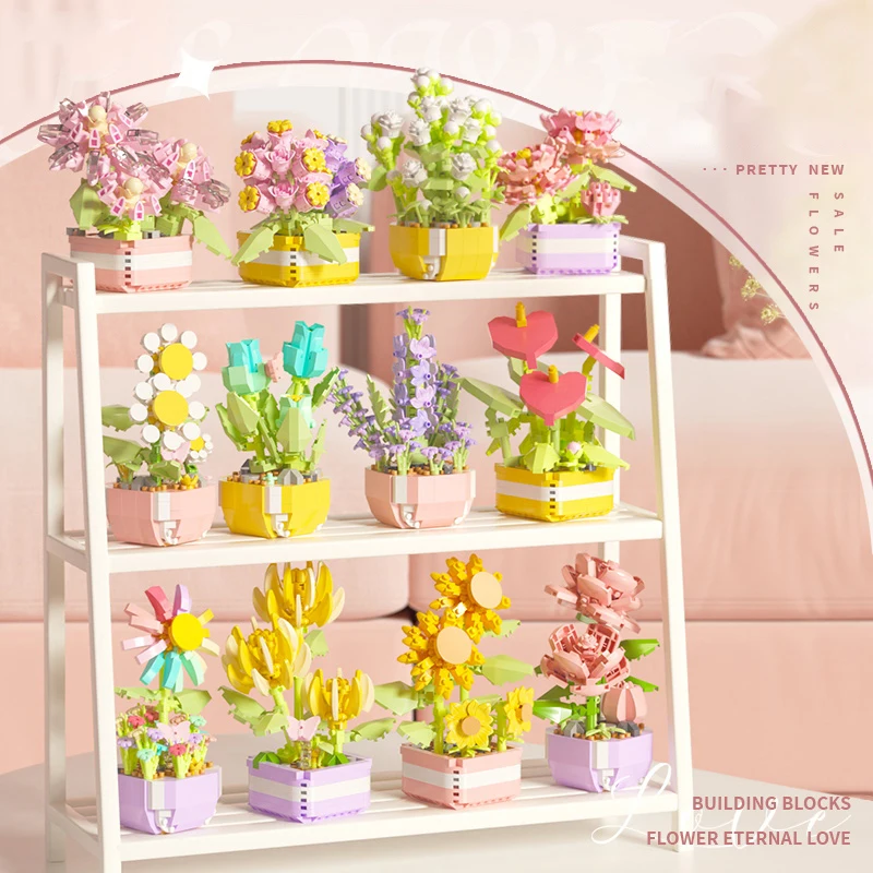 Fiore Piante grasse Building B - Bonsai Garden Pot recensione e prezzo