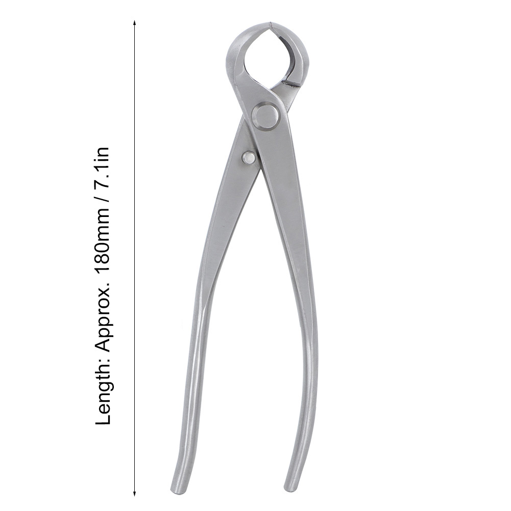 Forbici da Giardino Concave 18 - Bonsai Garden Rake recensione e prezzo
