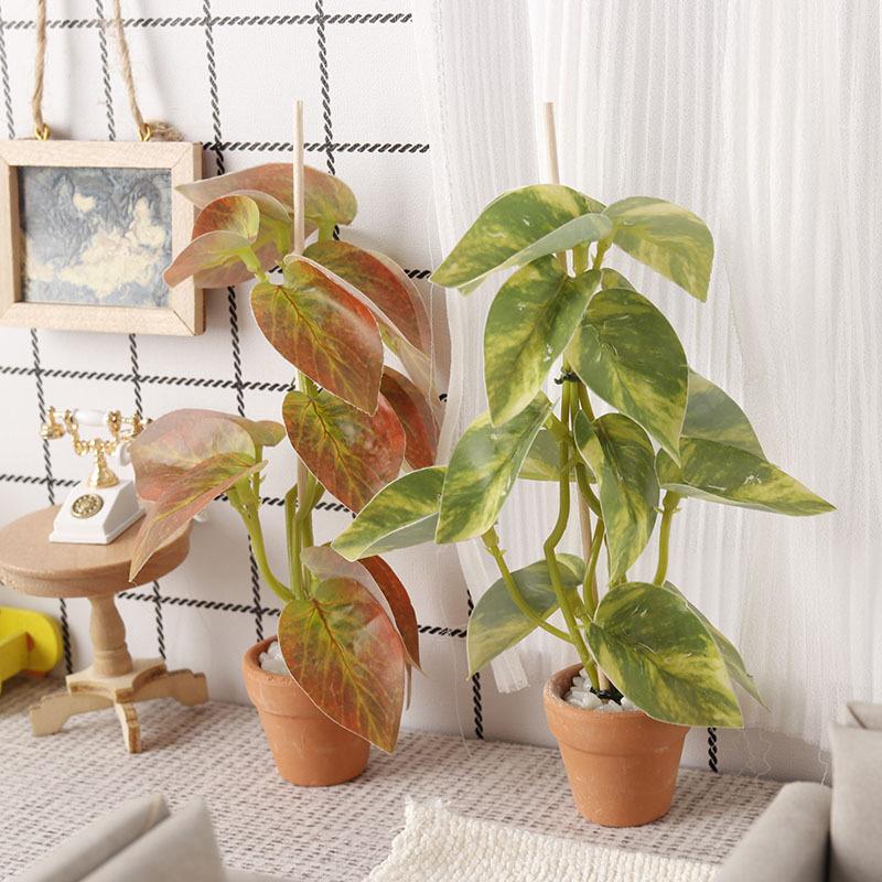 Modellino di Bonsai con Piante - Bonsai Garden Europe recensione e prezzo