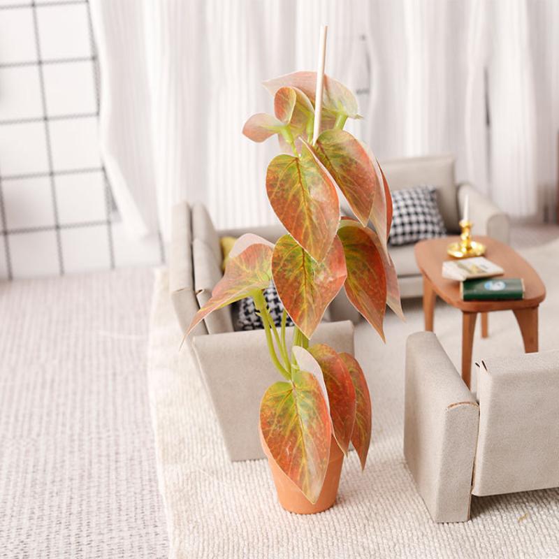 Modellino di Bonsai con Piante - Bonsai Garden Europe recensione e prezzo