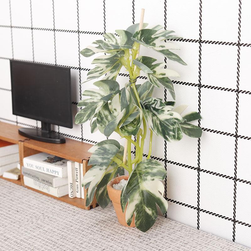 Modellino di Bonsai con Piante - Bonsai Garden Europe recensione e prezzo