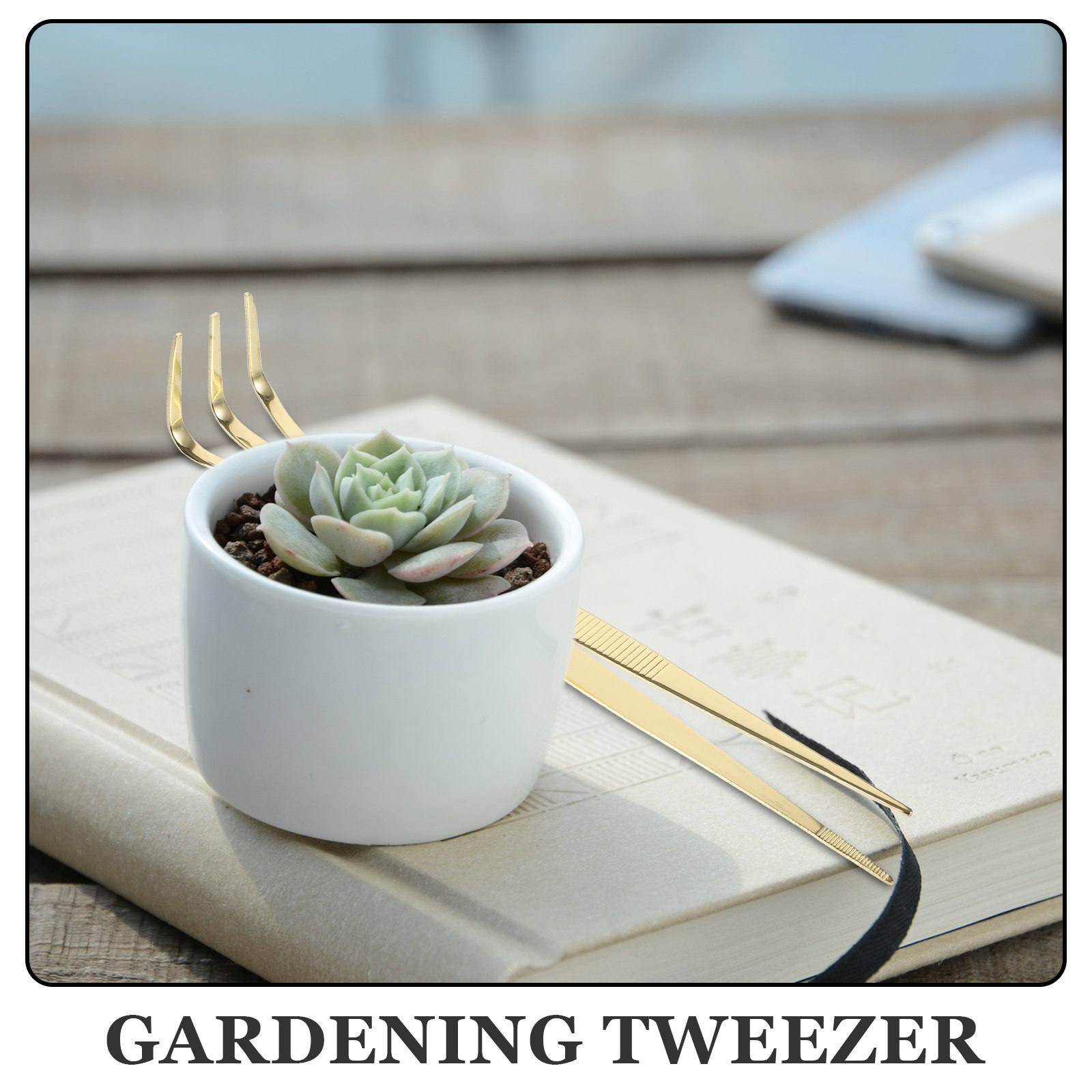 Pinzette per bonsai in acciaio - Bonsai Garden Rake recensione e prezzo