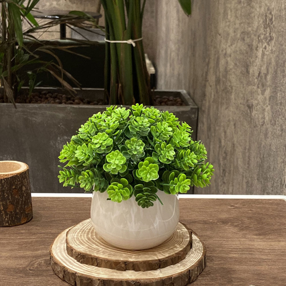 Bonsai Artificiale Realistico, - Bonsai Garden Cafe recensione e prezzo