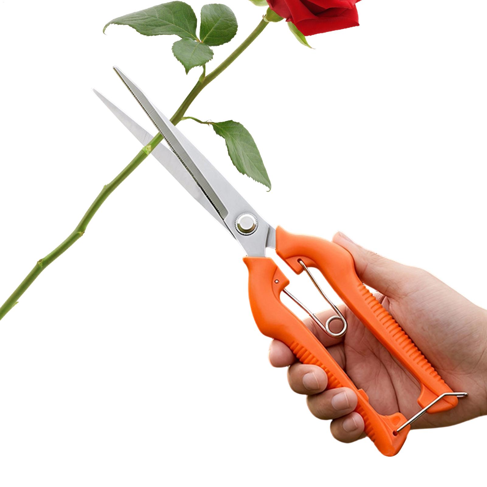 Forbici da Potatura Profession - Bonsai Garden Rake recensione e prezzo