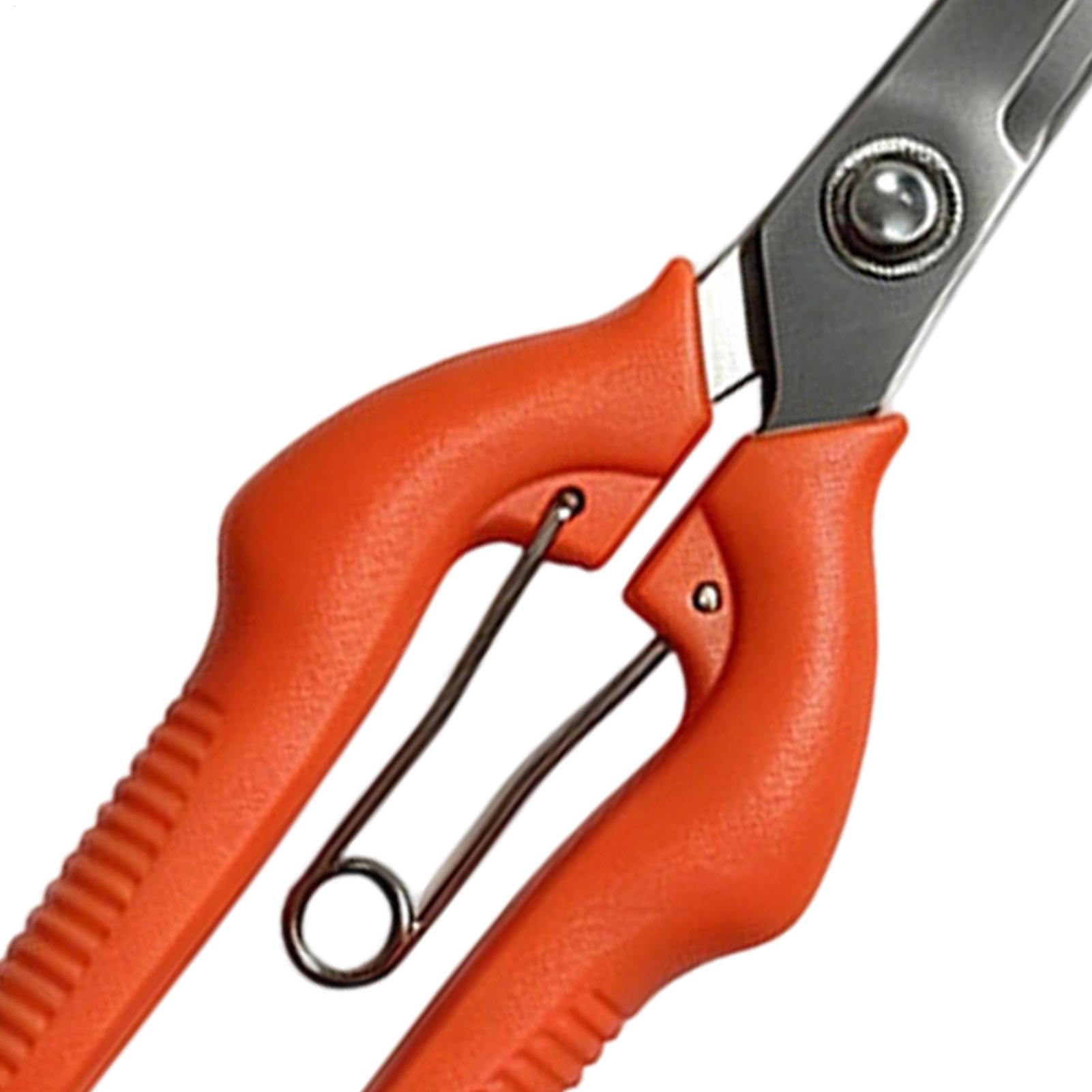 Forbici da Potatura Profession - Bonsai Garden Rake recensione e prezzo