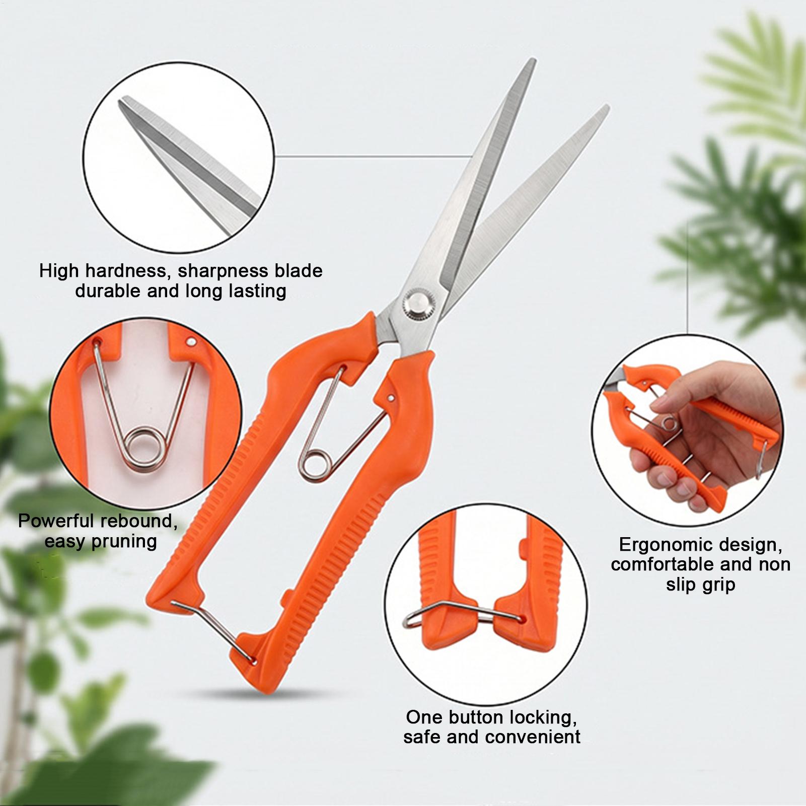 Forbici da Potatura Profession - Bonsai Garden Rake recensione e prezzo