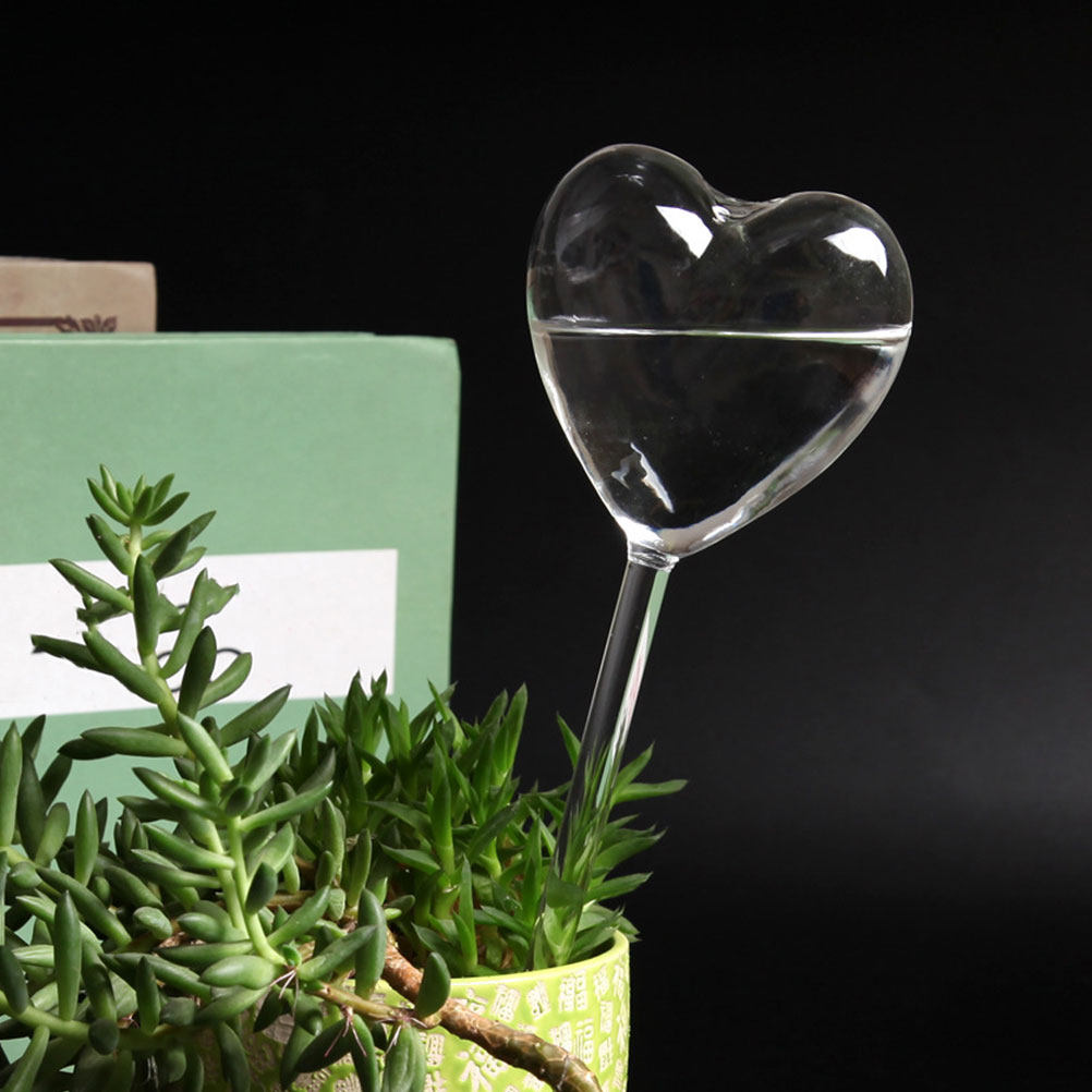 Set di 3 Sfere in Vetro a Form - Bonsai Garden Pot recensione e prezzo