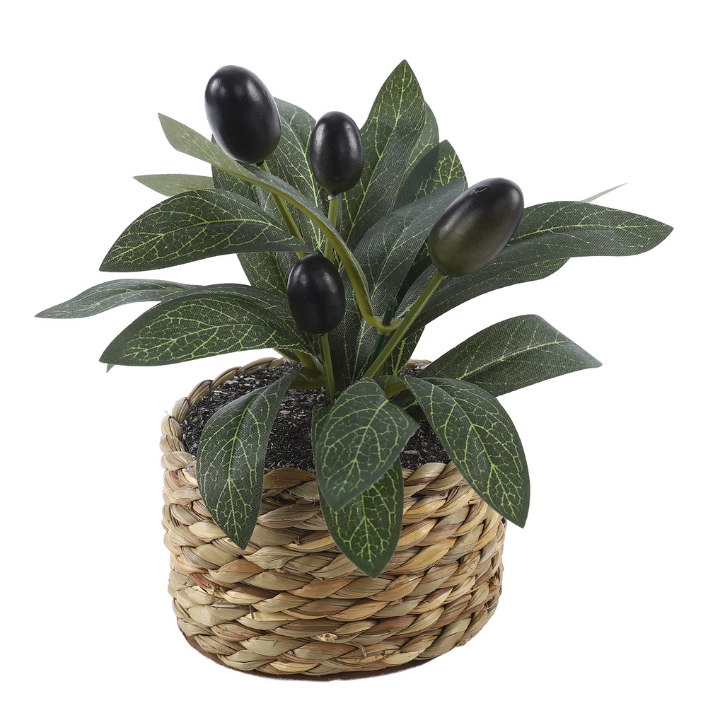 Albero di Ulivo Artificiale in - Bonsai Garden Pot recensione e prezzo