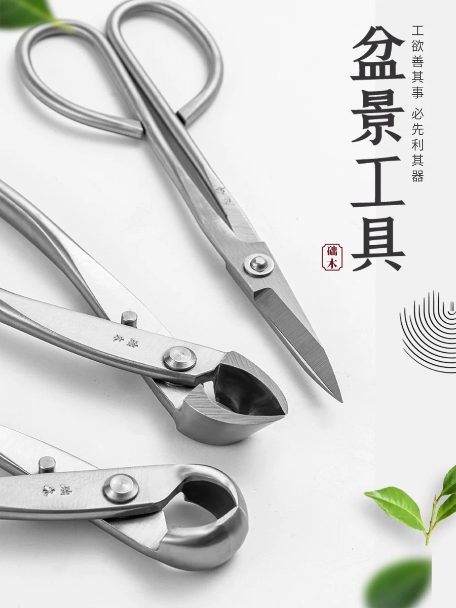 Set di Attrezzi per Bonsai (3  - Bonsai Garden Rake recensione e prezzo