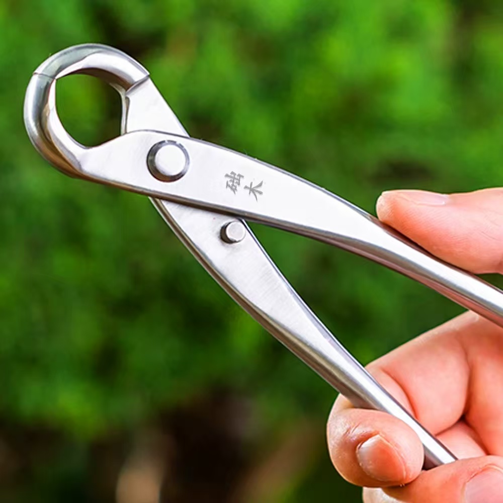 Set di Attrezzi per Bonsai (3  - Bonsai Garden Rake recensione e prezzo