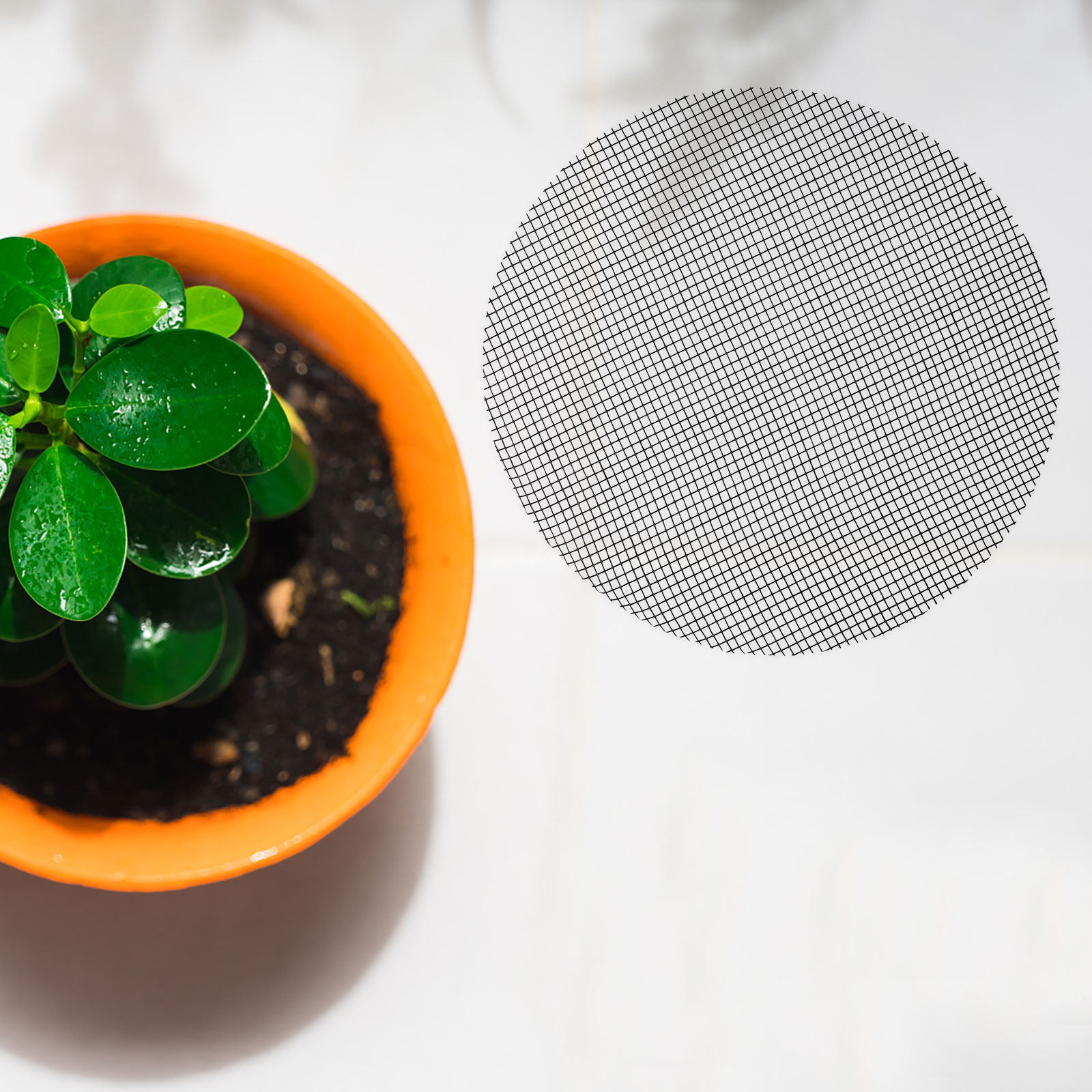 50 Pezzi di Teli a Rete per Fo - Bonsai Garden Pot recensione e prezzo