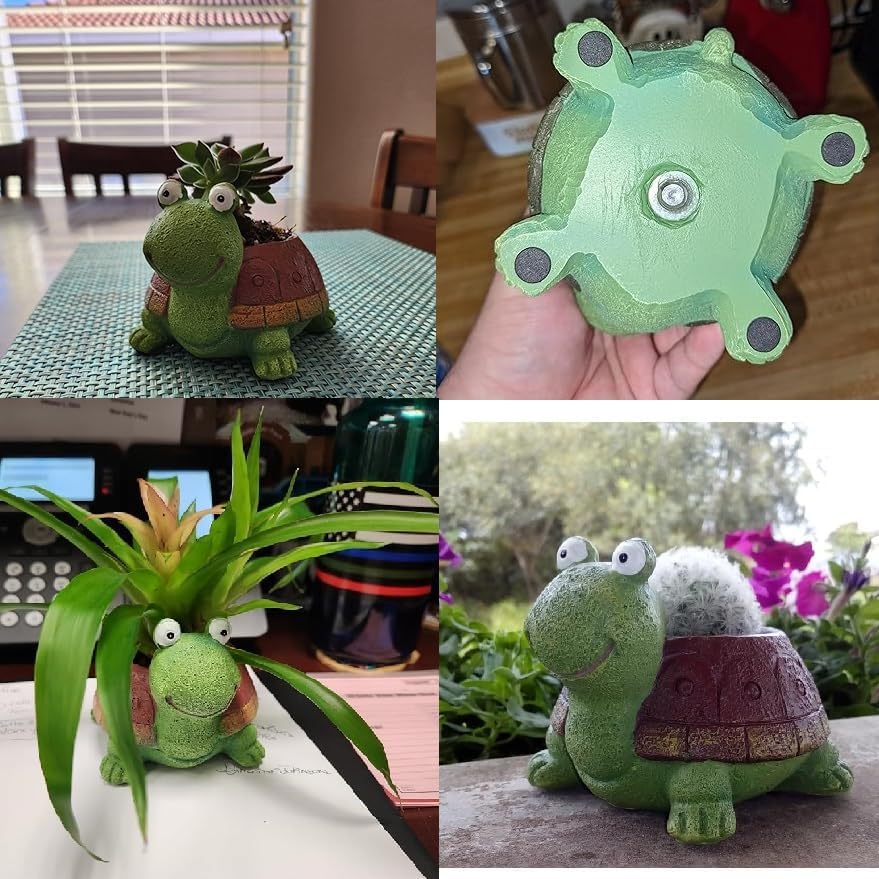 Cute Turtle Planter succulente - Bonsai Garden For Desk recensione e prezzo
