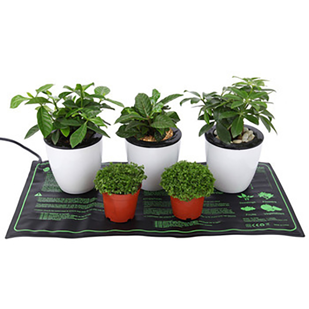 110/120/220/230V Piantina Tapp - Bonsai Garden Pot recensione e prezzo