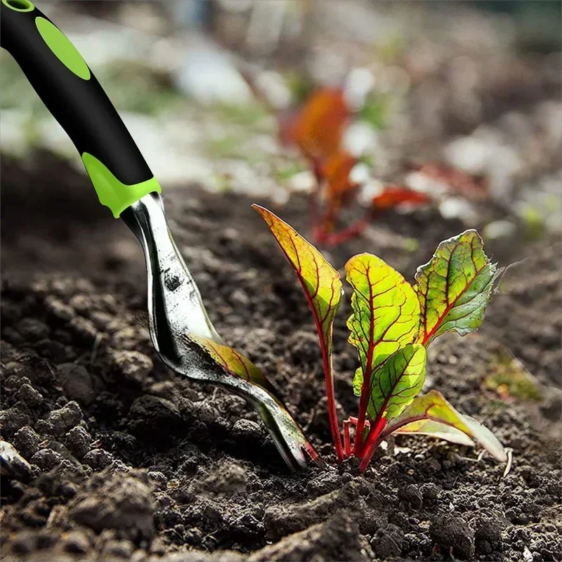Set di attrezzi da giardino in - Bonsai Garden Rake recensione e prezzo