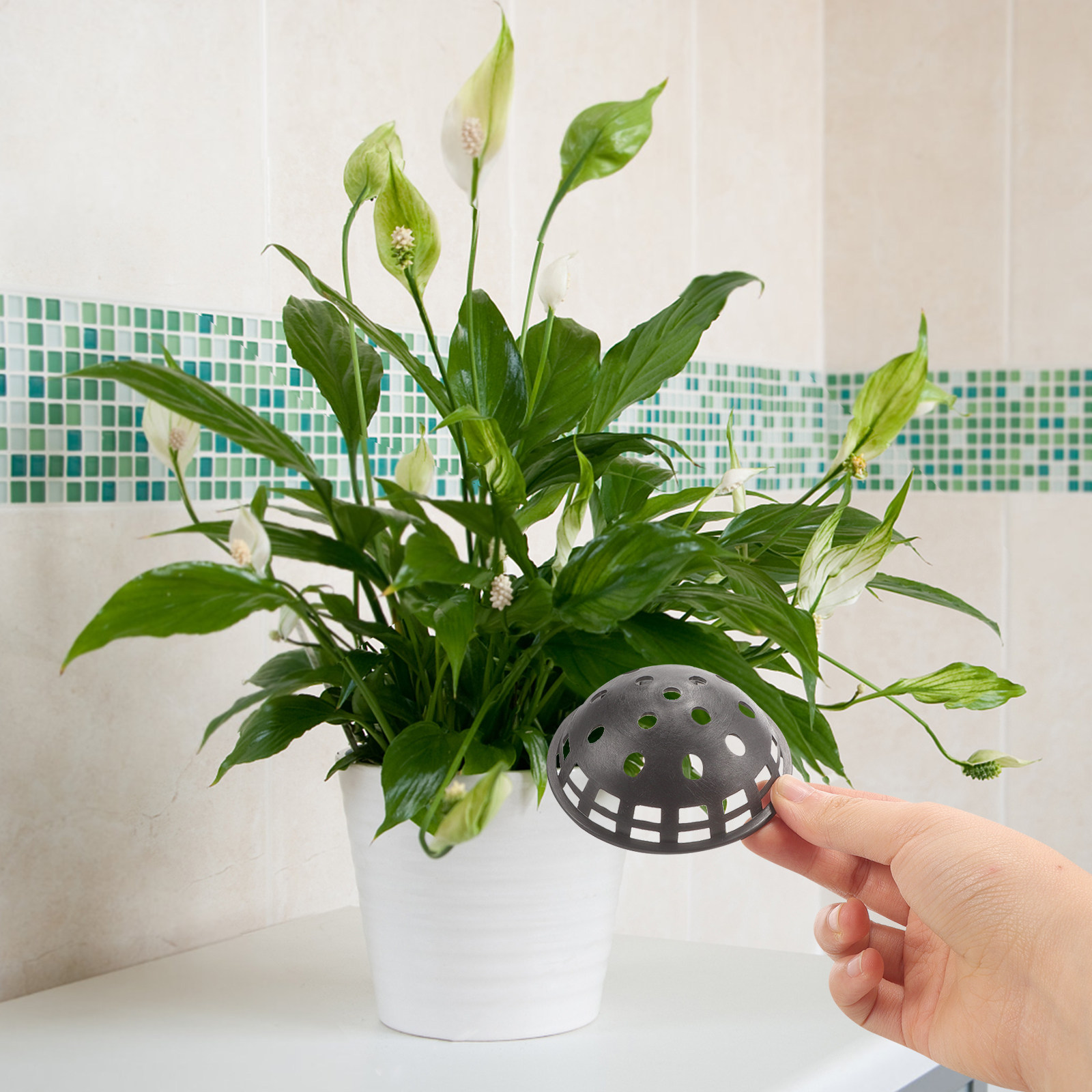 10 Pezzi di Tappetini a Rete p - Bonsai Garden Cafe recensione e prezzo