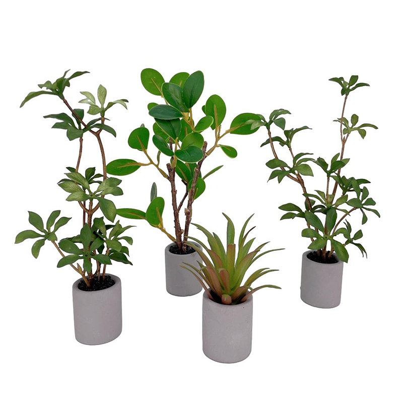 1:6 Casa delle bambole in mini - Bonsai Garden Pot recensione e prezzo