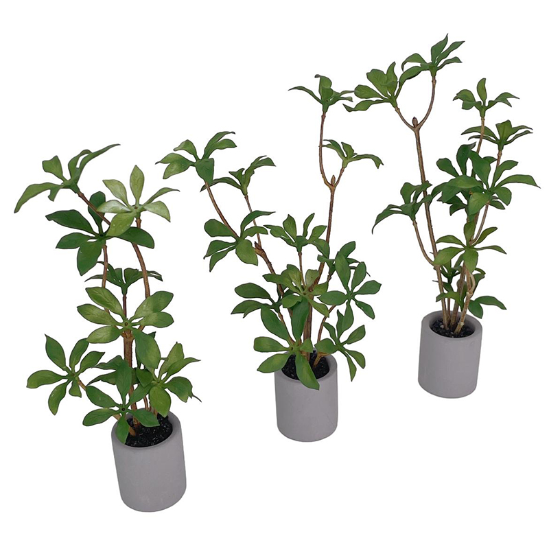 1:6 Casa delle bambole in mini - Bonsai Garden Pot recensione e prezzo