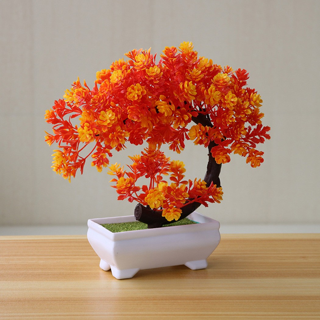 Ornamento bonsai in plastica i - Bonsai Garden For Desk recensione e prezzo