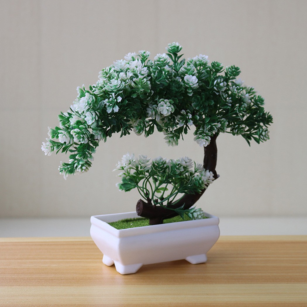 Ornamento bonsai in plastica i - Bonsai Garden For Desk recensione e prezzo