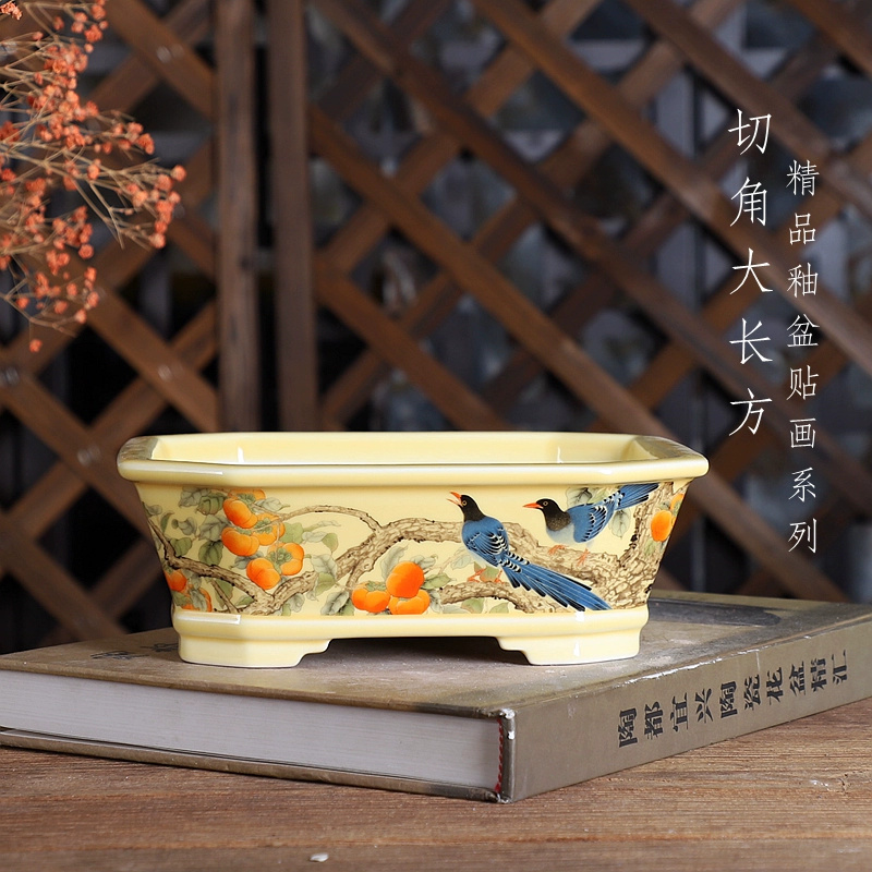 Vaso bonsai rettangolare in po - Bonsai Garden For Desk recensione e prezzo