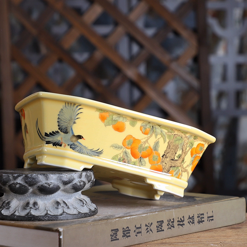 Vaso bonsai rettangolare in po - Bonsai Garden For Desk recensione e prezzo