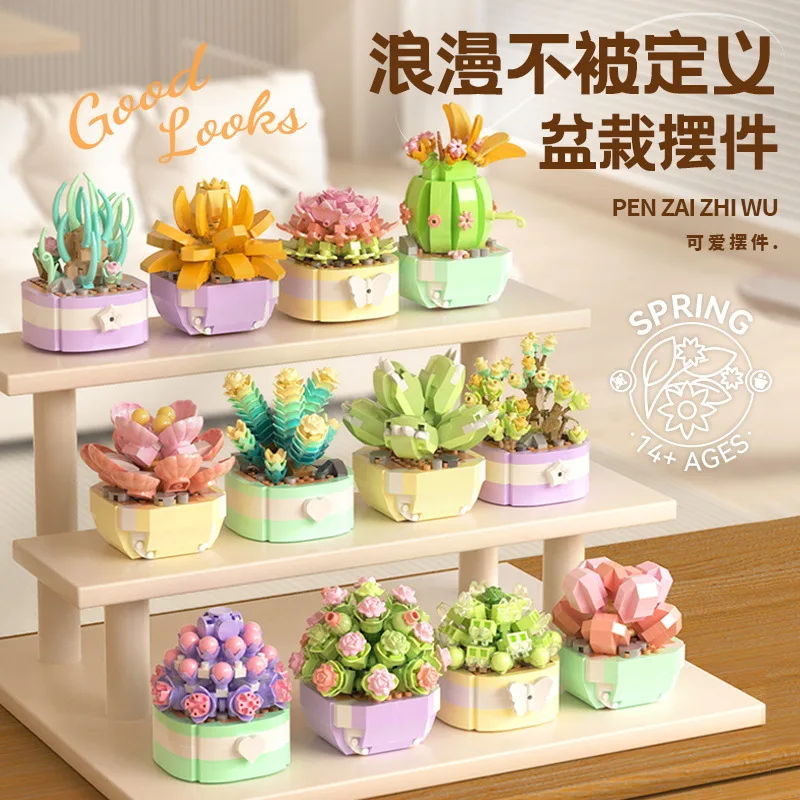 Fiore succulente blocchi di co - Bonsai Garden Pot recensione e prezzo