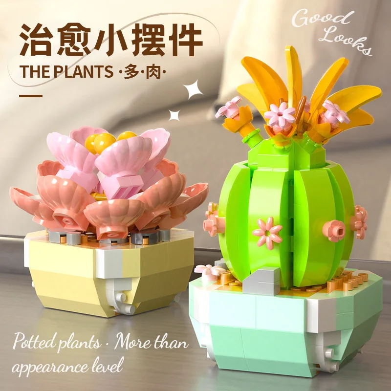 Fiore succulente blocchi di co - Bonsai Garden Pot recensione e prezzo