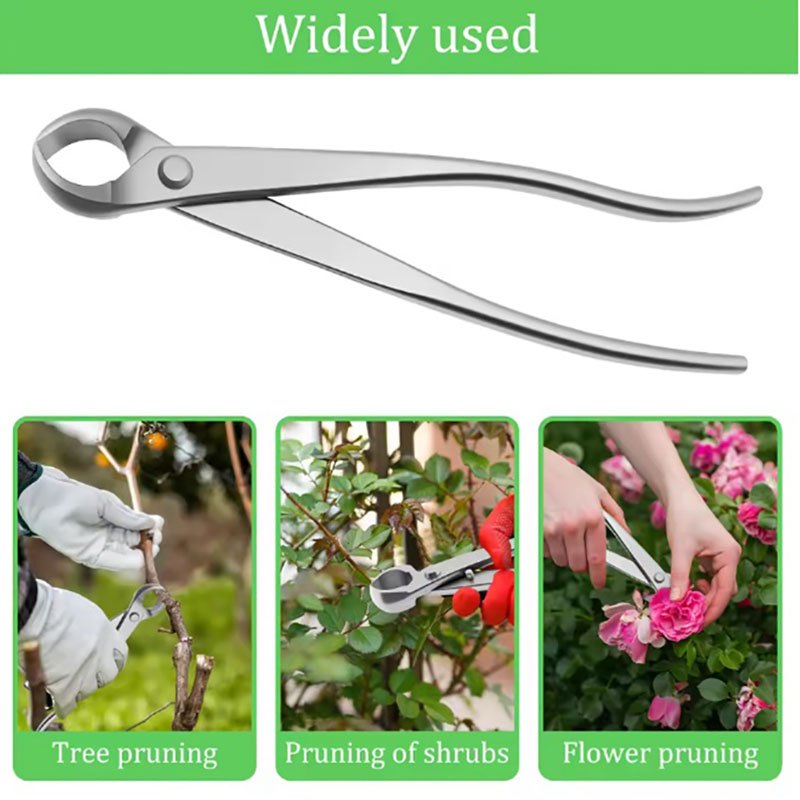 2 pz 210mm In Acciaio Inox Bon - Bonsai Garden Rake recensione e prezzo