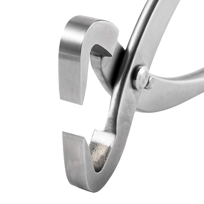 2 pz 210mm In Acciaio Inox Bon - Bonsai Garden Rake recensione e prezzo