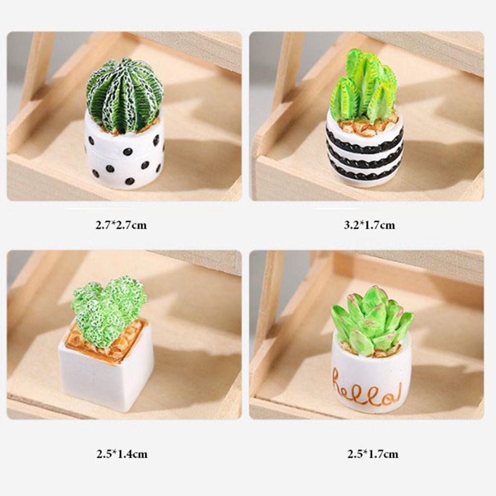 1:12 Casa delle bambole in min - Bonsai Garden Pot recensione e prezzo