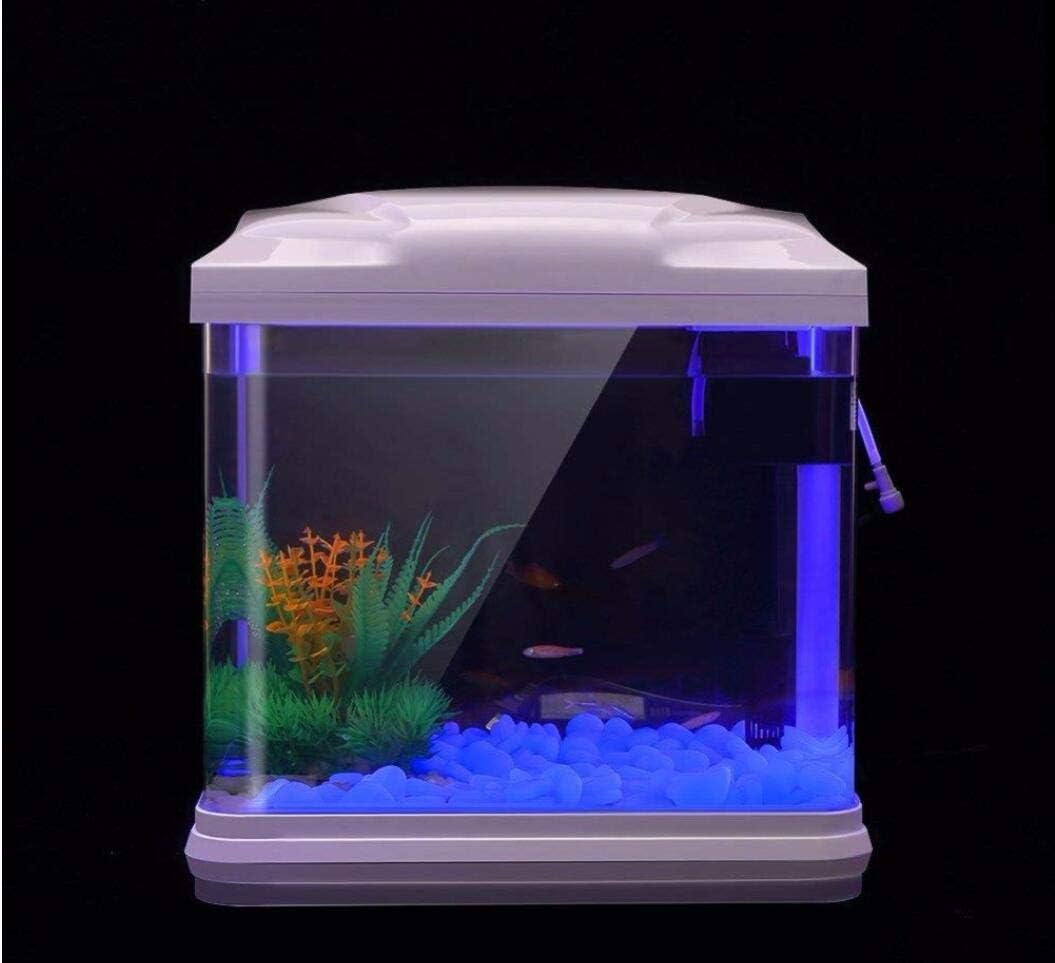 Rocce per acquari che si illum - Bonsai Garden Pot recensione e prezzo