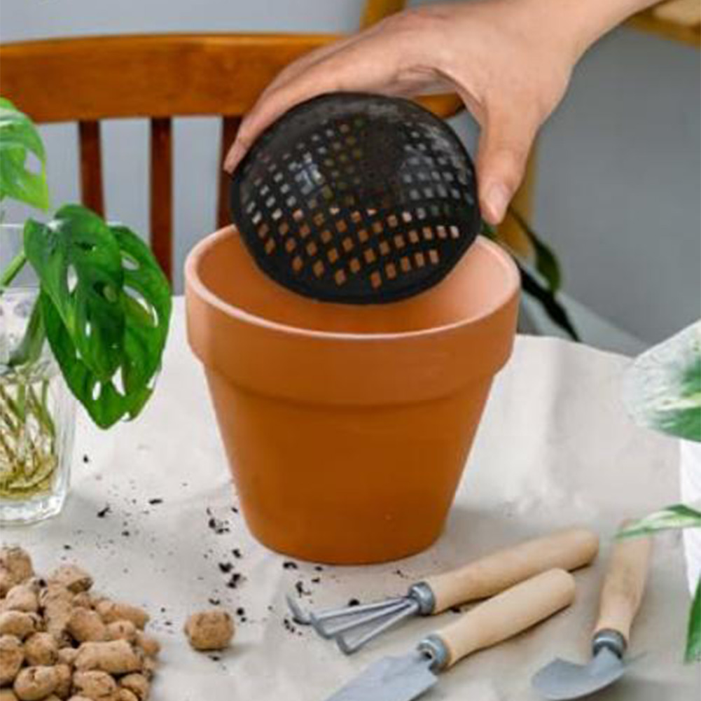 20/30 Pezzi Rete a Maglia per  - Bonsai Garden Pot recensione e prezzo