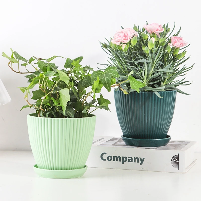 Vaso rotondo in vaso succulent - Japanese Garden Bonsai recensione e prezzo